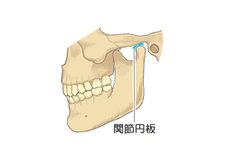 口を閉じた顎